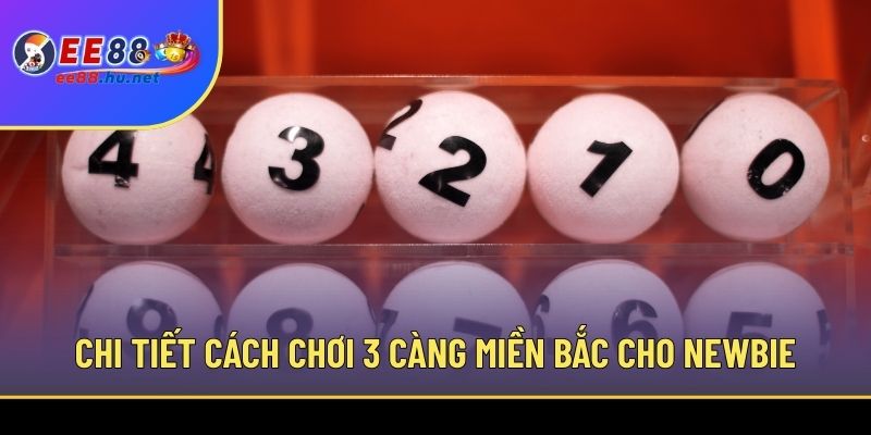 Chi tiết cách chơi 3 càng miền Bắc cho newbie