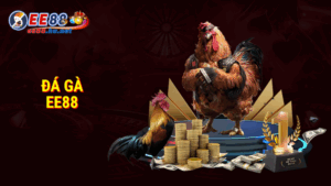 Trang chủ 44 Đá gà EE88
